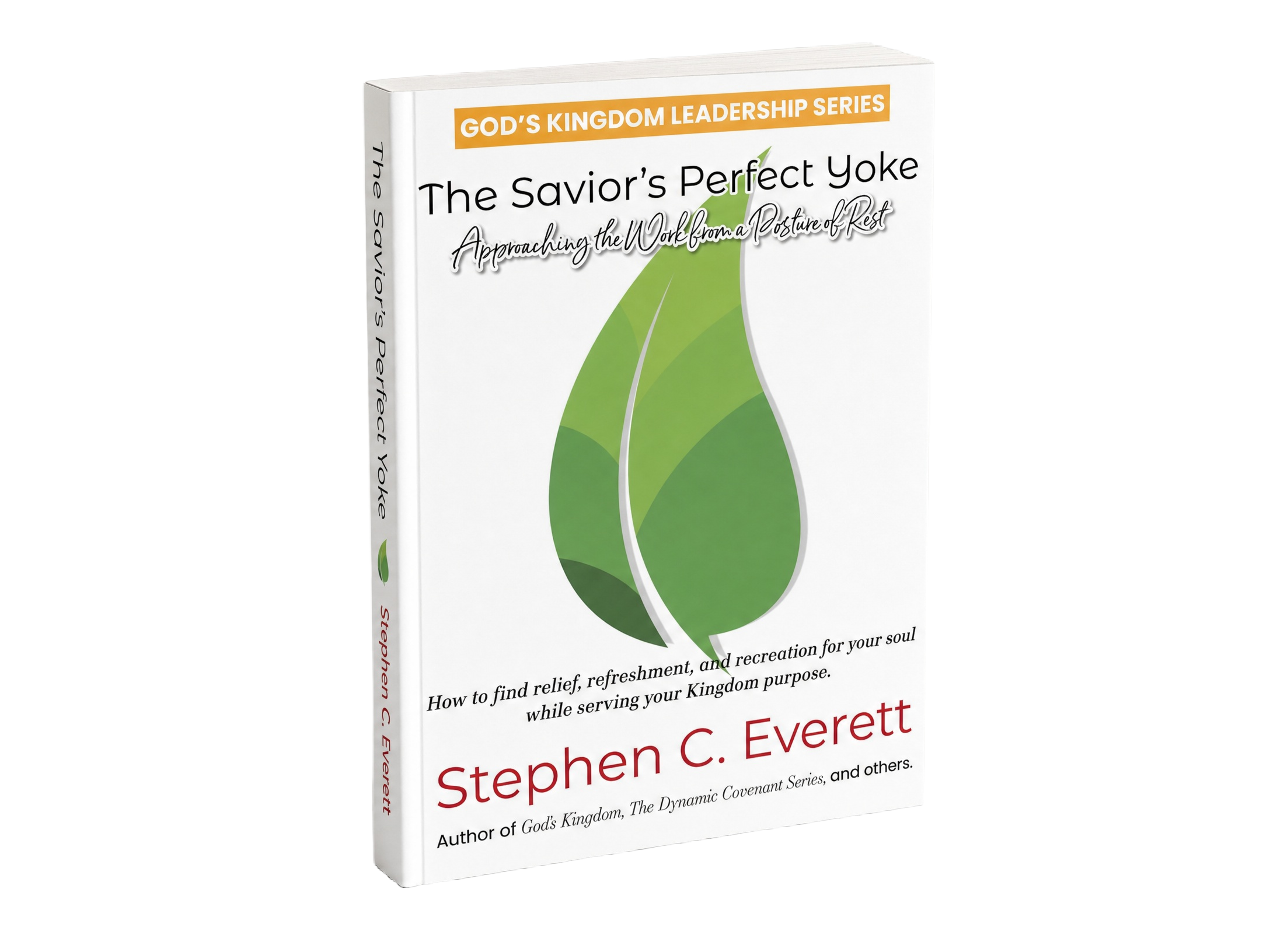 sce tspy book_mockup